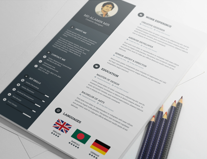 cv skabelon cv eksempel cv template